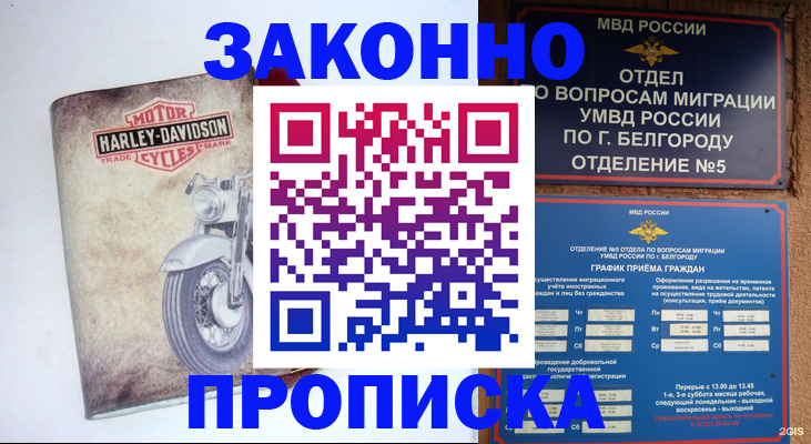 прописка для школы в Новомичуринске